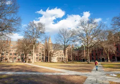 yale university campus